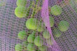 Мешочки для защиты гроздей винограда от насекомых и птиц !