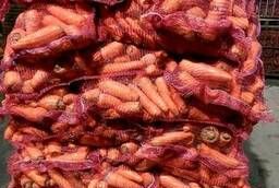 Морковь мытая оптом (лом)