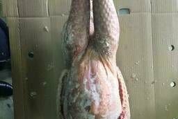 Meat CB, Goose, Duck, carcass, cut, GOST Halal in Meleuz