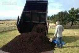 Dung, peat, peat soil, fertile soil, chicken droppings from St. Petersburg and