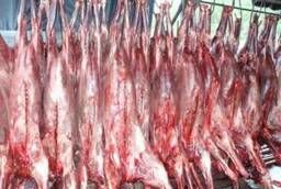 Продаем диетическое мясо дикого Камчатского Лося, мясо свеже