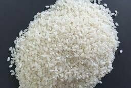 Rapan rice variety