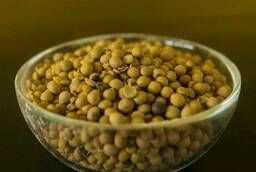 Soybeans (soybeans)