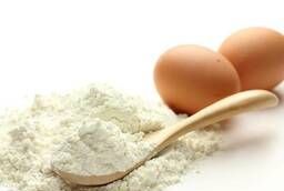 Egg white powder. Albumin