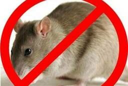 Уничтожение крыс, мышей и др. грызунов в Керчи и Феодосии