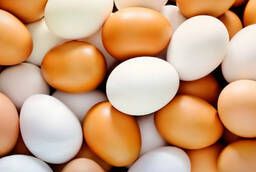Egg Wholesale, Chicken egg wholesale