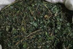 Чистотел (трава, цвет) рубл. 15-20 мм. Алтай (от 5кг)