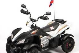 Детский электроквадроцикл Dongma ATV