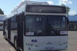City bus MAZ 103965