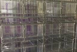 Cages for hens, rabbits, quails. Galvanized