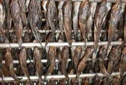 Крымская рыба оптом от производителя Килька, Хамса, Бычок.