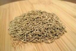 Кумин семена Индия оптом (условия заказа в описании)