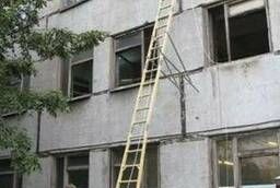 Dielectric ladder for overhead line supports, ladder for contact