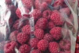 Raspberry extra frozen Macedonia