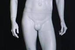 Male sculptural dummy, MW-71