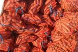 Морковь оптом, сорт: Абако, Каскад с полей производителя