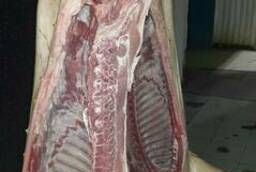 Pork half carcasses