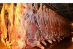 ООО  Сантарин, реализует мясо говядины(быки, коровы)