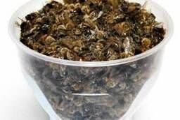 Подмор пчелиный сушеный 50 гр