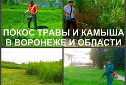 Mowing grass Voronezh, mowing grass in Voronezh