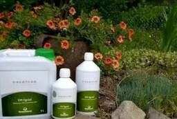 Probiotics for animals (pigs, cattle, chickens, horses, sheep)