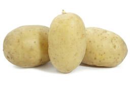 Семенной картофель Пароли