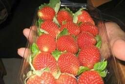 Свежая клубника , Fresh Strawberry