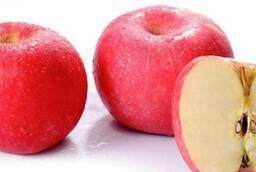 Яблоки Фуджи - оптом