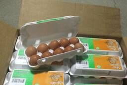 Яйца куриные с птицефабрик России оптом