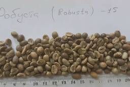 Зеленый кофе Арабика & Робуста напрямую от производителя
