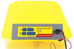 Household incubator for 48 chicken eggs with control. ..