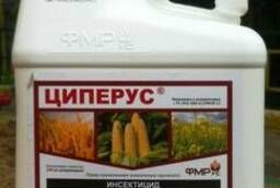 Insecticide Arrivo-cyperus-kan. 5 l. from pests and insects