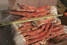 Kamchatka crab (claws L-L4)