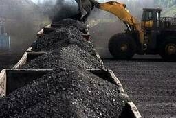 Bituminous coal of T, DR, DGPK, DGR wholesale