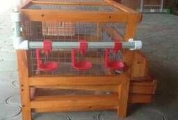Cages for quails.