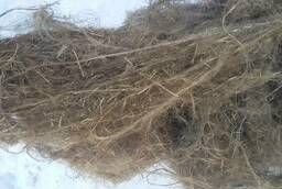 Short flax fiber