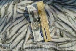 Рыбу по оптовым ценам в Крыму. Килька, хамса, бычок.