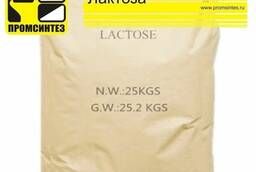 Лактоза пищевая, фасовка 25 кг (Франция)