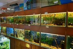 Магазин аквариумов Seaprice в Москве. Аквариумы, террариумы,