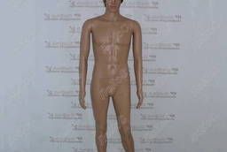 Male plastic mannequin 184cm, 94-75-95cm, M-1  MW-23