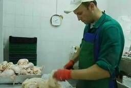 Мясо цыпленка бройлера от производителя
