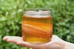 Напиток (квас) с чайного гриба на травах, 0, 5 л