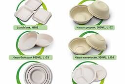 Disposable biodegradable tableware made of sugar cane