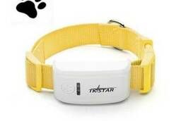 Collar GPS tracker For dogs cats TK STAR (TK909)