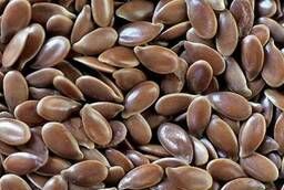 Посевной материал семян: льна масличного сорт Чибис ЭС