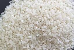 Рис круглый шлифованный ГОСТ В/сорт 5, 9, 12, 20% дроби