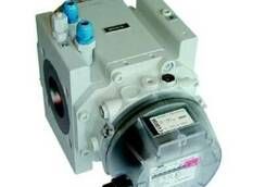 RVG rotary gas meter
