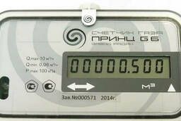 Ultrasonic gas meter Prince G6