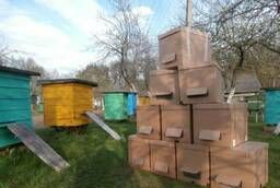 Ящики для перевозки пчел