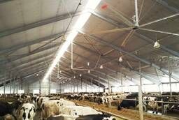 Large ceiling fans for cowsheds